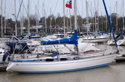 CCRC Beagle